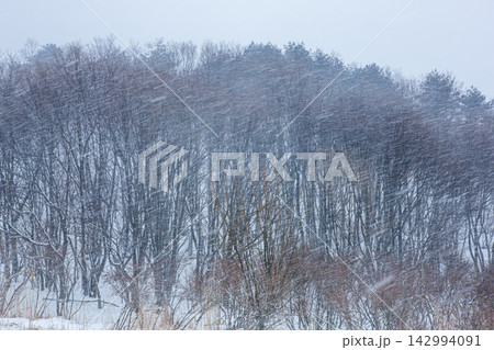 雪化粧した山 雪化粧した山 142994091