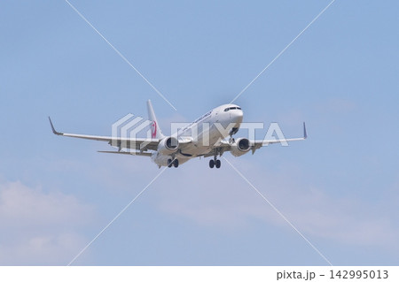 着陸態勢の日本航空のボーイング 737-800 142995013