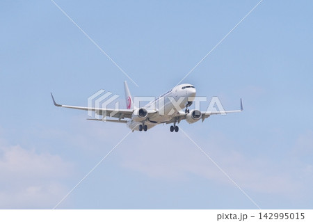 着陸態勢の日本航空のボーイング 737-800 142995015