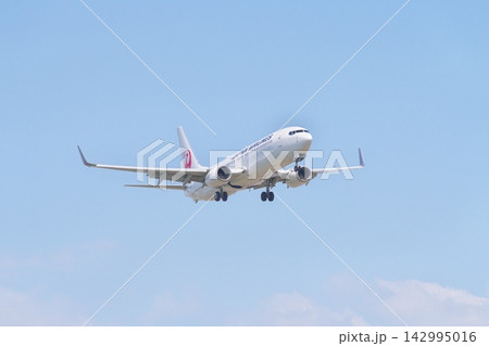 着陸態勢の日本航空のボーイング 737-800 142995016