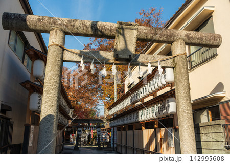 秋の紅葉と提灯が並ぶ熊野神社の石鳥居と参道。川越市、埼玉県、日本 142995608