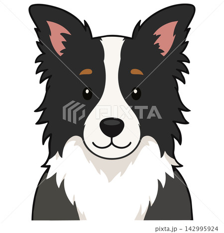 ボーダーコリーのイラスト 142995924
