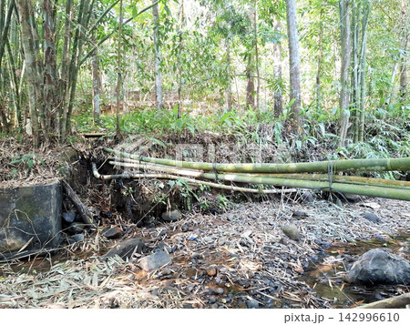 Natural stream with bamboo pipes and concrete structure in lush green forest. 142996610