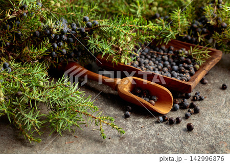 Juniper branches with fresh berries. Juniper branches with fresh berries. 142996876