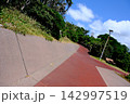 道 142997519