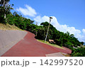 公園の遊歩道 142997520