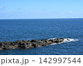 水平線の見える風景 142997544