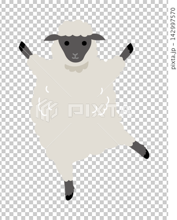 踊る黒い顔の羊イラスト 142997570