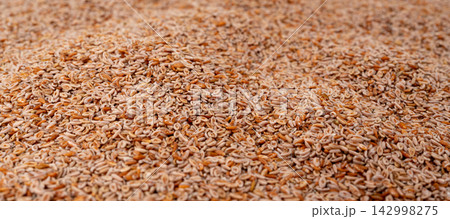 Plantago ovata seeds, Psyllium husk, isabgol dietary fiber or ispaghula Plantago ovata seeds, Psyllium husk, isabgol dietary fiber or ispaghula 142998275