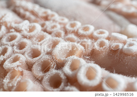 Macro shot of whole frozen octopus legs or big tentacles Macro shot of whole frozen octopus legs or big tentacles 142998516