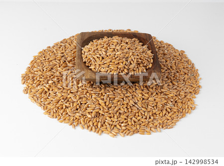 Wheat Grains Isolated, Barley Pile Wheat Grains Isolated, Barley Pile 142998534