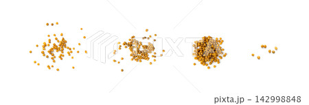 Cooked lentil, boiled green lentils Cooked lentil, boiled green lentils 142998848