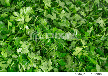 Fresh parsley leaf with water drops texture Fresh parsley leaf with water drops texture 142998865