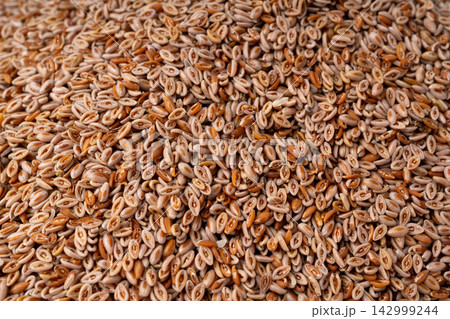 Plantago ovata seeds, Psyllium husk, isabgol dietary fiber or ispaghula Plantago ovata seeds, Psyllium husk, isabgol dietary fiber or ispaghula 142999244
