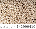 White kidney bean, dry cannellini beans pile 142999410