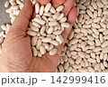 White kidney bean, dry cannellini beans pile 142999416