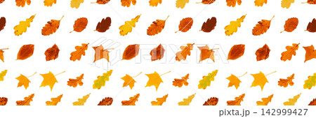 Autumn leaves seamless pattern, oak tree foliage vector background 142999427