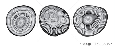 Tree trunk cut texture, wood slice annual rings vector pattern Tree trunk cut texture, wood slice annual rings vector pattern 142999497