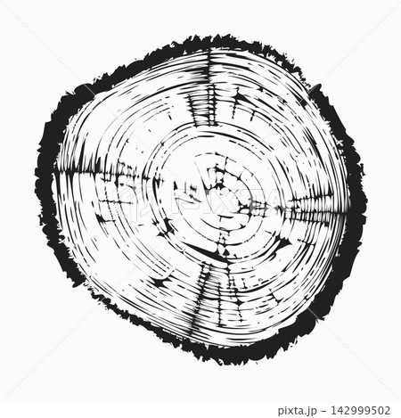Tree trunk cut texture, wood slice annual rings vector pattern 142999502