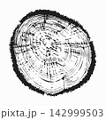 Tree trunk cut texture, wood slice annual rings vector pattern 142999503