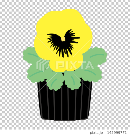 A simple yellow flower seedling, one seedling. A simple yellow flower seedling, one seedling. 142999771