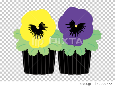 Simple yellow and purple flower seedlings, two seedlings Simple yellow and purple flower seedlings, two seedlings 142999772