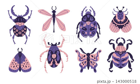 Trendy decorative insects. Beetles, stylized butterflies, moths and dragonflies, symmetrical nature creatures, different bugs, decorative entomology, garish vector cartoon isolated set Trendy decorative insects. Beetles, stylized butterflies, moths and dragonflies, symmetrical nature creatures, different bugs, decorative entomology, garish vector cartoon isolated set 143000518
