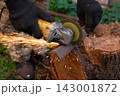 Man in protective gloves cutting metal with an angle grinder outdoors, bright sparks flying. Concept of manual labour, home workshop, DIY metalwork and work safety. 143001872