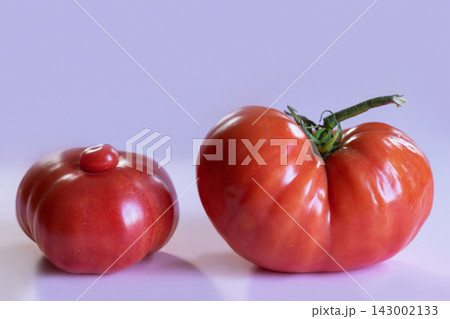 Two unusual, naturally misshapen ripe red tomatoes on lavender background, showing irregular forms and pronounced lobes. One tomato has small secondary growth on top, creating distinctive appearance Two unusual, naturally misshapen ripe red tomatoes on lavender background, showing irregular forms and pronounced lobes. One tomato has small secondary growth on top, creating distinctive appearance 143002133