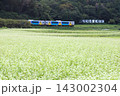 水郡線「そば畑とE130系列車」 143002304