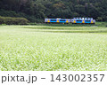 水郡線「そば畑とE130系列車」 143002357
