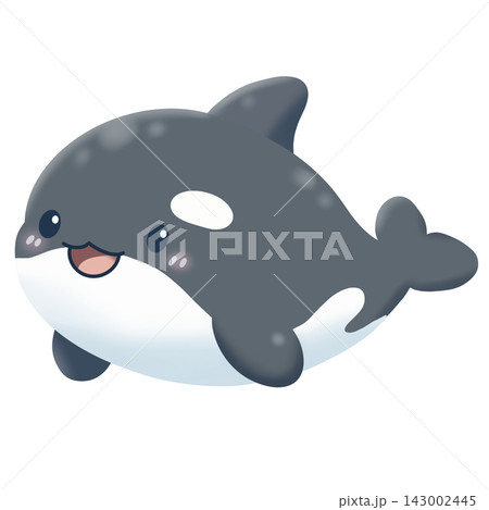 cartoon killer whale isolated on white cartoon killer whale isolated on white 143002445