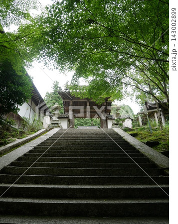 吉野山の如意輪寺山門に続く階段(奈良:吉野) 吉野山の如意輪寺山門に続く階段(奈良:吉野) 143002899