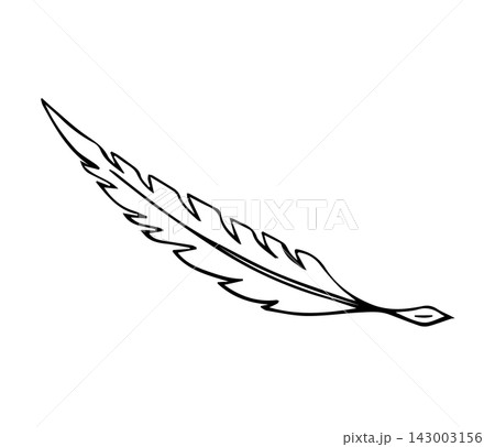 Feather Quill Pen Writing Doodle Outline Illustration Black And White Feather Quill Pen Writing Doodle Outline Illustration Black And White 143003156