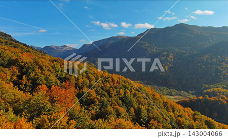 Aerial view of mountain range with vibrant autumn forest 143004066