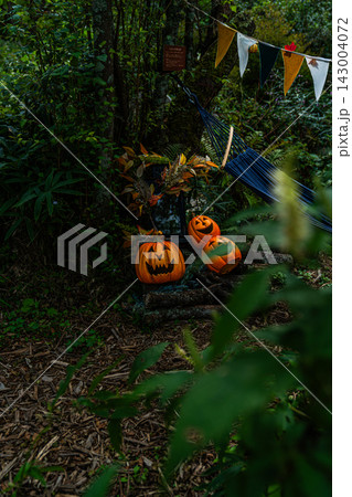 六甲高山植物園のハロウィン装飾とジャック・オー・ランタン 143004072