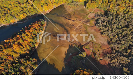Meandering riverbed and forest of autumn trees nature landscape Meandering riverbed and forest of autumn trees nature landscape 143004103