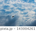 雲と青空と飛行機 143004261