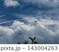 青空をさわやかに飛ぶ 143004263