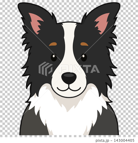 邊境牧羊犬插圖(png) 邊境牧羊犬插圖(png) 143004405