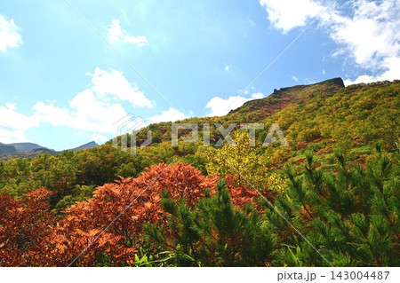 大雪山黒岳の紅葉 143004487