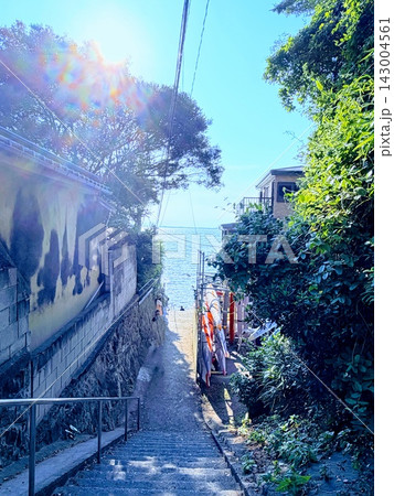 海辺へ向かう小道 143004561
