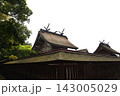 出雲大社（島根県出雲市） 143005029