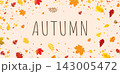 Autumn Banner And Autumn Leaf Vector Illustration 143005472