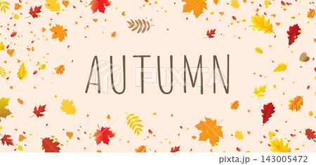 Autumn Banner And Autumn Leaf Vector Illustration Autumn Banner And Autumn Leaf Vector Illustration 143005472