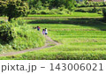 田んぼのあぜ道を歩く子供たち 143006021