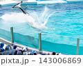鴨川シーワールドのシャチショー 143006869