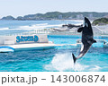 鴨川シーワールドのシャチショー 143006874