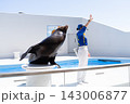 鴨川シーワールドのアシカショー 143006877