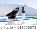 鴨川シーワールドのアシカショー 143006878